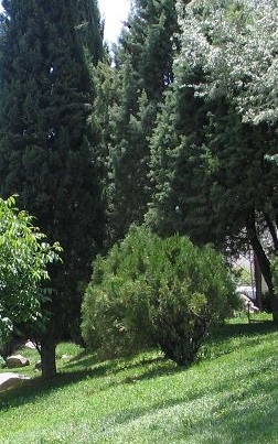 پارک مطالعه